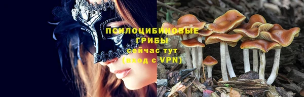 СК Зеленокумск