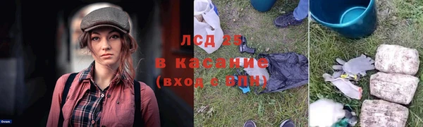 гидра Зеленодольск