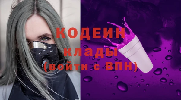 гидра Зеленодольск