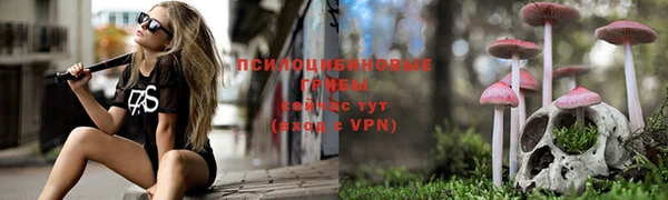 2c-b Зерноград