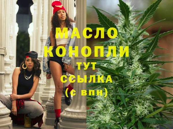 гидра Зеленодольск