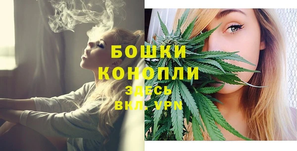 СК Зеленокумск