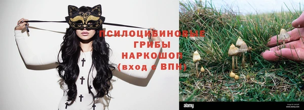 гидра Зеленодольск
