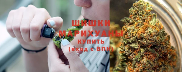 гидра Зеленодольск